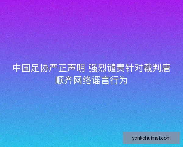 中国足协严正声明 强烈谴责针对裁判唐顺齐网络谣言行为
