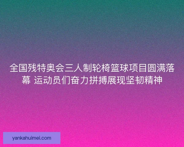 全国残特奥会三人制轮椅篮球项目圆满落幕 运动员们奋力拼搏展现坚韧精神